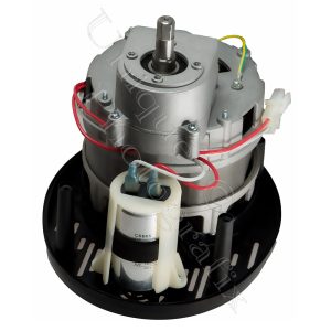 Appliance Motor